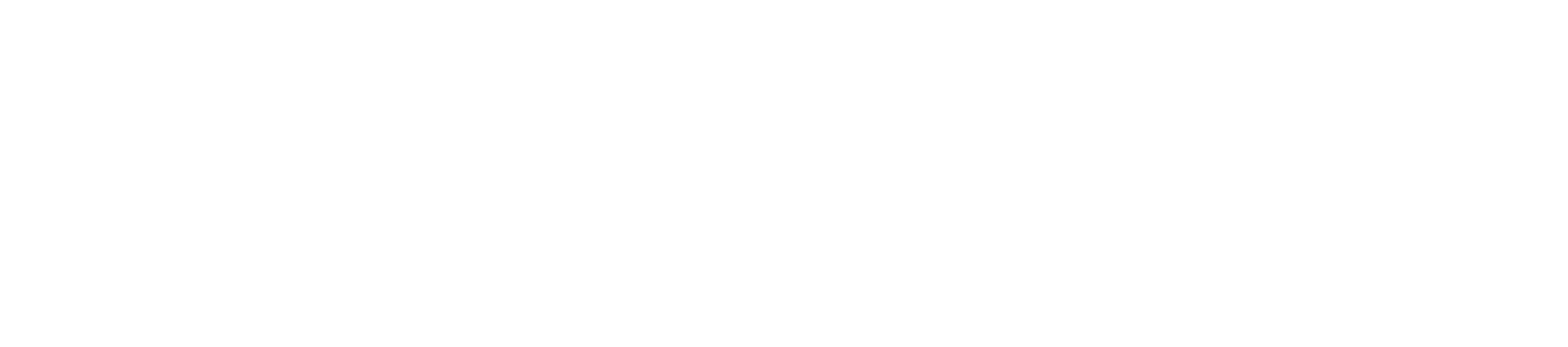 Noopy Logo